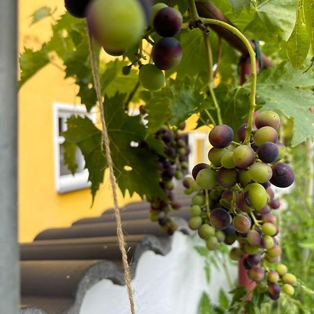 보파르트 Haus Rheinleben 아파트 외부 사진
